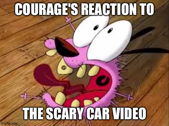 Courage | COURAGE'S REACTION TO; THE SCARY CAR VIDEO | image tagged in courage | made w/ Imgflip meme maker