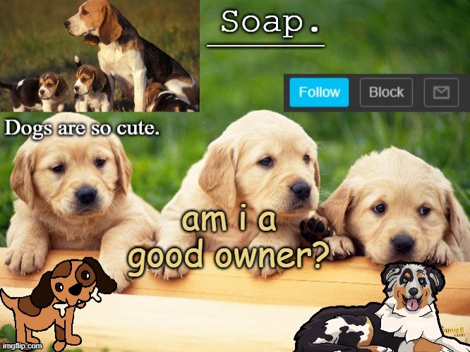 just curious if people think i am or not and please be honest | am i a good owner? | image tagged in soap doggo temp ty yachi | made w/ Imgflip meme maker