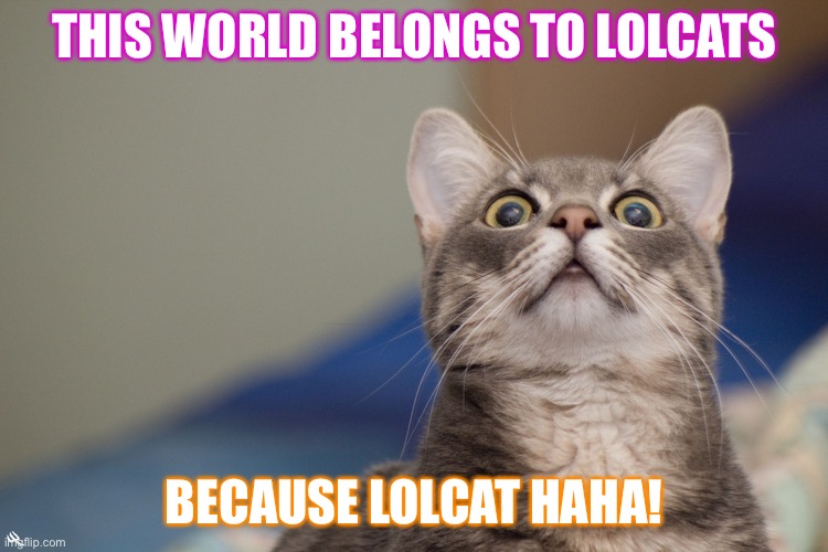 LOLCAT | THIS WORLD BELONGS TO LOLCATS; BECAUSE LOLCAT HAHA! | image tagged in lolcat | made w/ Imgflip meme maker
