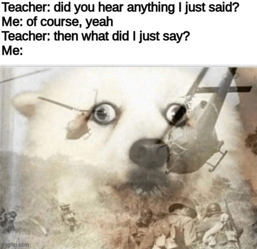 this kind of stuff has happened ONE too many times | Teacher: did you hear anything I just said?
Me: of course, yeah
Teacher: then what did I just say?
Me: | image tagged in ptsd dog,blank white template,middle school | made w/ Imgflip meme maker