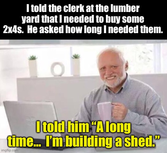 How long | I told the clerk at the lumber yard that I needed to buy some 2x4s.  He asked how long I needed them. I told him “A long time…  I’m building a shed.” | image tagged in harold | made w/ Imgflip meme maker