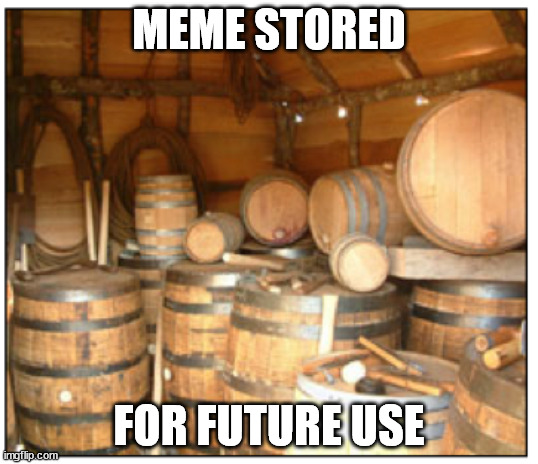 Meme stored for future use | MEME STORED; FOR FUTURE USE | image tagged in meme,future | made w/ Imgflip meme maker