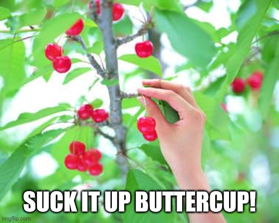 Stop picking and choosing, and deal with what is at hand | SUCK IT UP BUTTERCUP! | image tagged in cherry picking | made w/ Imgflip meme maker