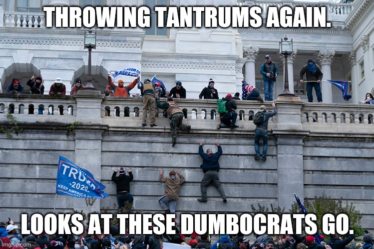 Trumpism 2021 | THROWING TANTRUMS AGAIN. LOOKS AT THESE DUMBOCRATS GO. | image tagged in trumpism 2021 | made w/ Imgflip meme maker