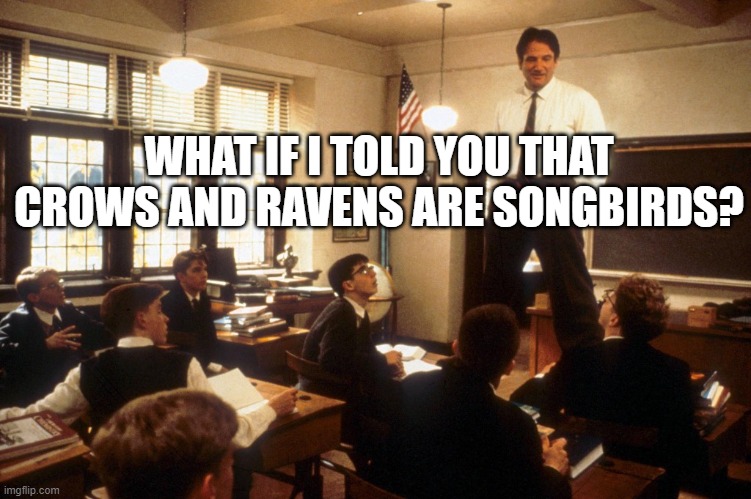 Dead poets society  | WHAT IF I TOLD YOU THAT CROWS AND RAVENS ARE SONGBIRDS? | image tagged in dead poets society | made w/ Imgflip meme maker