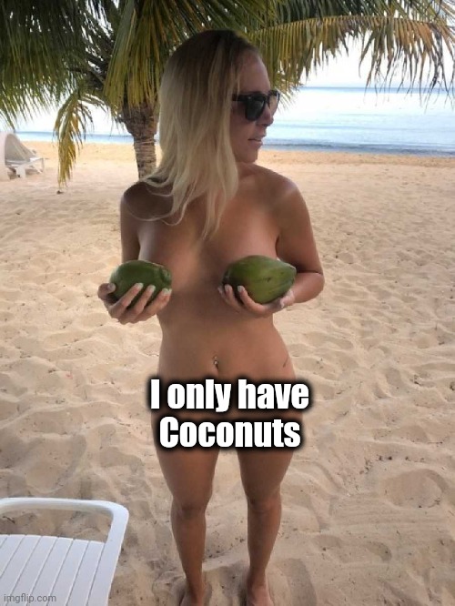 Coconuts | I only have
Coconuts | image tagged in coconuts | made w/ Imgflip meme maker