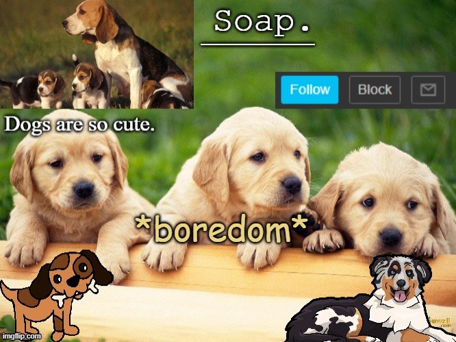 Soap doggo temp | *boredom* | image tagged in soap doggo temp ty yachi | made w/ Imgflip meme maker