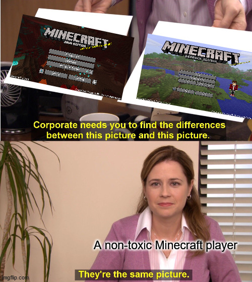 They're The Same Picture Meme | A non-toxic Minecraft player | image tagged in memes,they're the same picture | made w/ Imgflip meme maker