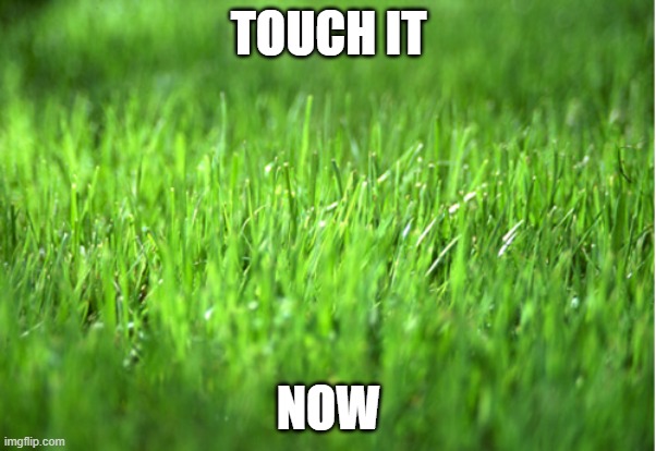 simp hour is coming | TOUCH IT; NOW | made w/ Imgflip meme maker