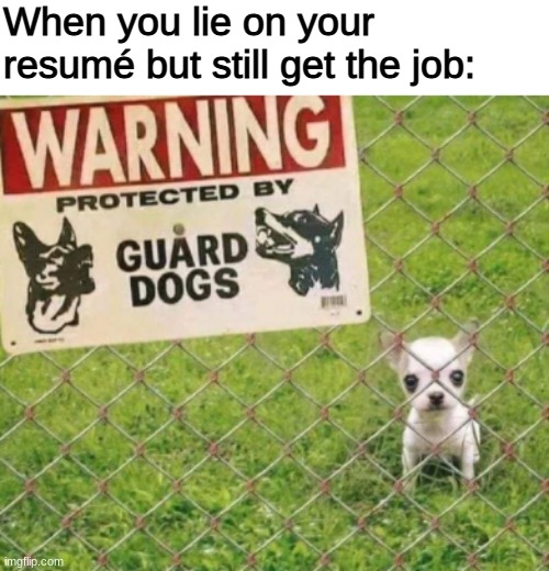 everyone loves dogs | When you lie on your resumé but still get the job: | image tagged in middle school | made w/ Imgflip meme maker