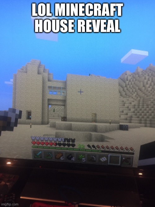 Because boredom | LOL MINECRAFT HOUSE REVEAL | image tagged in e,minecraft | made w/ Imgflip meme maker