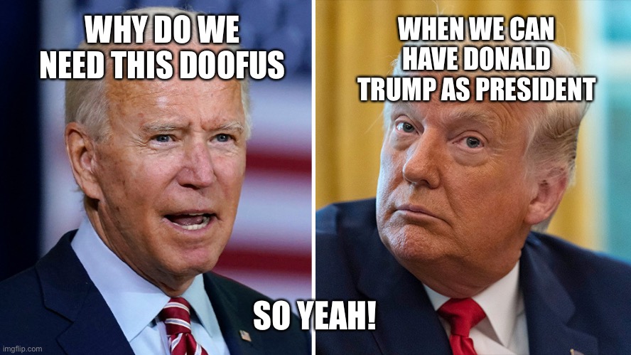 Joe Biden the doofus | WHEN WE CAN HAVE DONALD TRUMP AS PRESIDENT; WHY DO WE NEED THIS DOOFUS; SO YEAH! | image tagged in funny memes | made w/ Imgflip meme maker