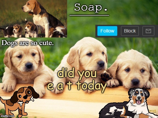 Soap doggo temp | did you e a t today | image tagged in soap doggo temp ty yachi | made w/ Imgflip meme maker