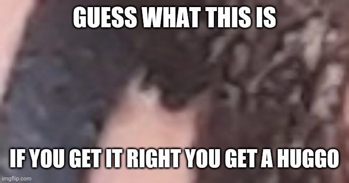 GUESS WHAT THIS IS; IF YOU GET IT RIGHT YOU GET A HUGGO | made w/ Imgflip meme maker