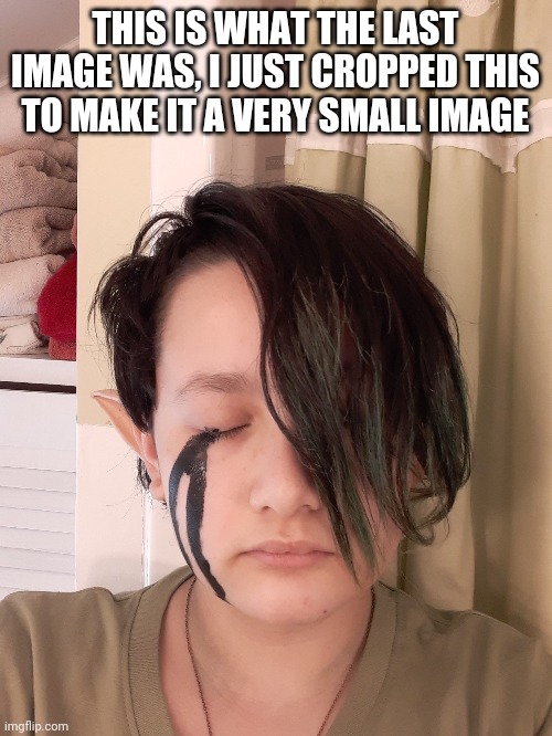 THIS IS WHAT THE LAST IMAGE WAS, I JUST CROPPED THIS TO MAKE IT A VERY SMALL IMAGE | made w/ Imgflip meme maker