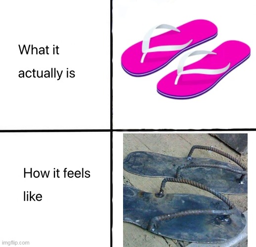 Mostly asians knows how it actually feels | image tagged in what it actually is how it feels like,slippers | made w/ Imgflip meme maker