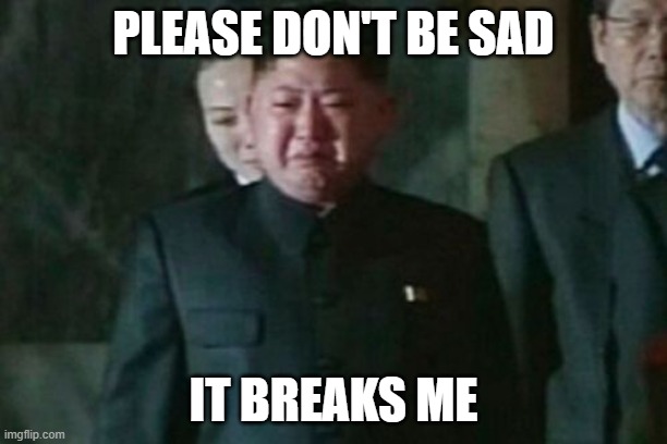 Kim Jong Un Sad | PLEASE DON'T BE SAD; IT BREAKS ME | image tagged in memes,kim jong un sad | made w/ Imgflip meme maker