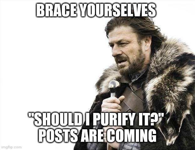 "Should I purify it?" is coming | BRACE YOURSELVES; "SHOULD I PURIFY IT?" 
POSTS ARE COMING | image tagged in memes,brace yourselves x is coming,pokemon go | made w/ Imgflip meme maker