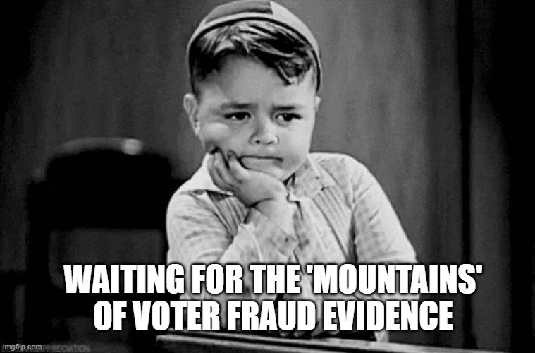 Little Rascal | WAITING FOR THE 'MOUNTAINS' OF VOTER FRAUD EVIDENCE | image tagged in little rascal | made w/ Imgflip meme maker