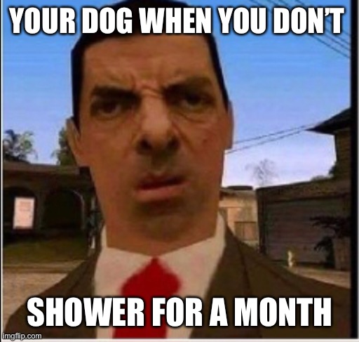 YOUR DOG WHEN YOU DON’T; SHOWER FOR A MONTH | image tagged in mr bean | made w/ Imgflip meme maker