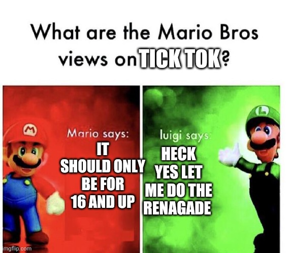Mario Bros Views | TICK TOK; IT SHOULD ONLY BE FOR 16 AND UP; HECK YES LET ME DO THE RENAGADE | image tagged in mario bros views,tiktok | made w/ Imgflip meme maker