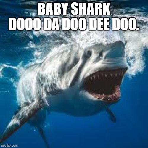 Mommy shark do do do do do | BABY SHARK DOOO DA DOO DEE DOO. | image tagged in mommy shark do do do do do | made w/ Imgflip meme maker