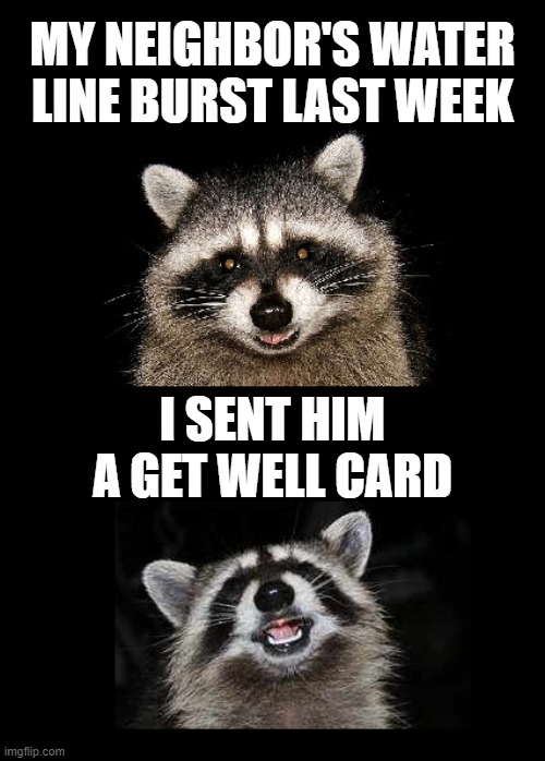 That's pretty deep... | MY NEIGHBOR'S WATER LINE BURST LAST WEEK; I SENT HIM A GET WELL CARD | image tagged in water lines,get well,raccoon | made w/ Imgflip meme maker