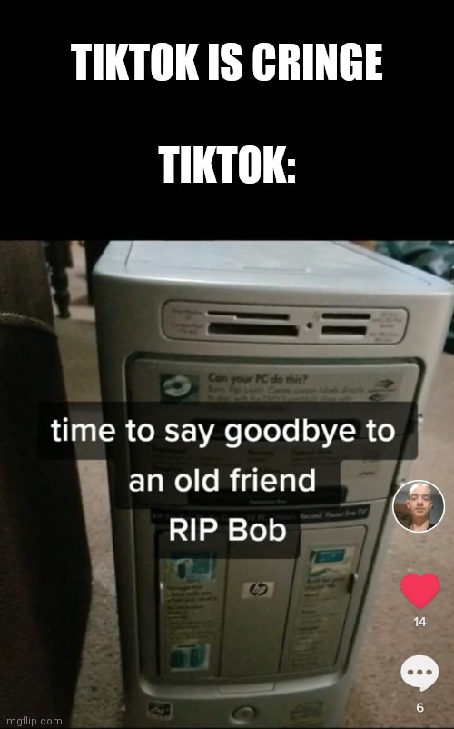 No fighting here. Its just certain users that are cringe. I'm a neutral | TIKTOK IS CRINGE; TIKTOK: | made w/ Imgflip meme maker