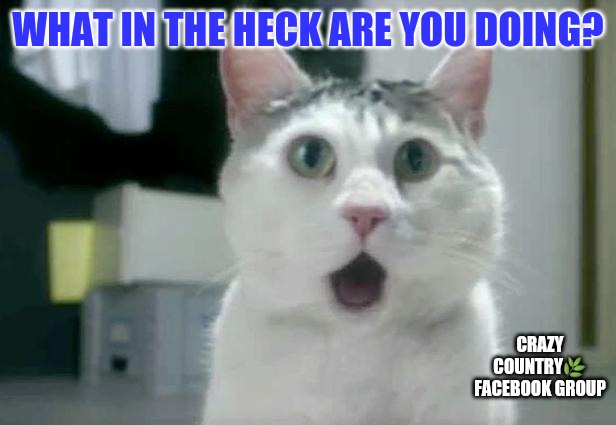 OMG Cat |  WHAT IN THE HECK ARE YOU DOING? CRAZY COUNTRY🌿
FACEBOOK GROUP | image tagged in memes,omg cat | made w/ Imgflip meme maker