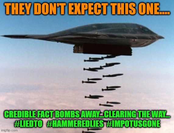 stealth bomber | THEY DON'T EXPECT THIS ONE.... CREDIBLE FACT BOMBS AWAY...CLEARING THE WAY...
#LIEDTO   #HAMMEREDLIES  #IMPOTUSGONE | image tagged in stealth bomber | made w/ Imgflip meme maker