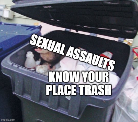PLS JUST- | SEXUAL ASSAULTS; KNOW YOUR PLACE TRASH | image tagged in trash possum | made w/ Imgflip meme maker
