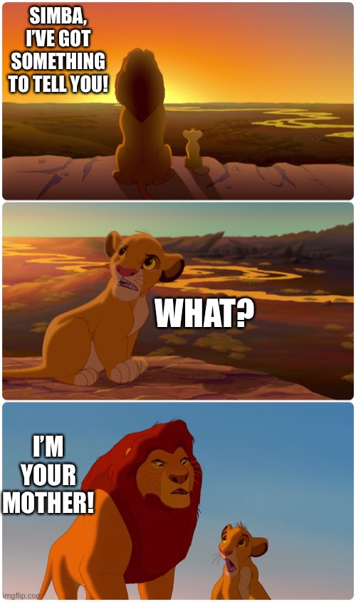 Lion King Meme | SIMBA, I’VE GOT SOMETHING TO TELL YOU! WHAT? I’M YOUR MOTHER! | image tagged in lion king meme | made w/ Imgflip meme maker