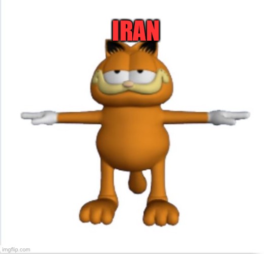 garfield t-pose | IRAN | image tagged in garfield t-pose | made w/ Imgflip meme maker
