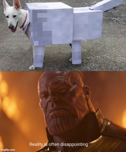 The Minecraft/IRL Dog | image tagged in reality is often dissapointing,memes,unfunny | made w/ Imgflip meme maker