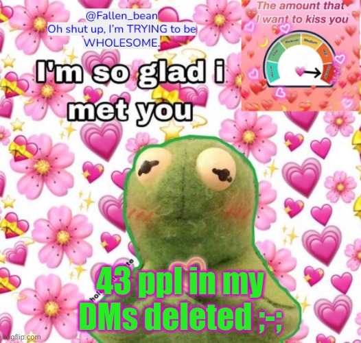 fallen wholesome template UnU | 43 ppl in my DMs deleted ;-; | image tagged in fallen wholesome template unu | made w/ Imgflip meme maker