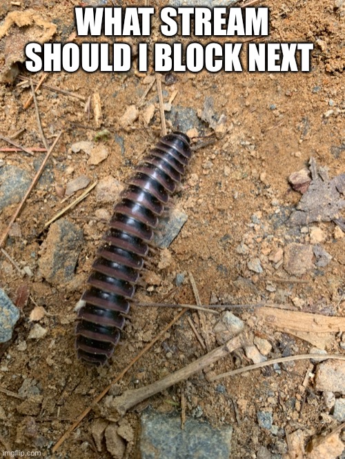 WHAT STREAM SHOULD I BLOCK NEXT | made w/ Imgflip meme maker