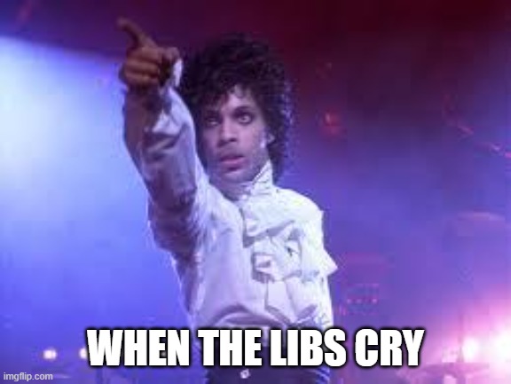 Prince | WHEN THE LIBS CRY | image tagged in prince | made w/ Imgflip meme maker