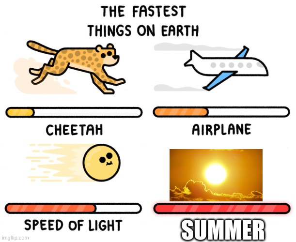 whyyyyy!! | SUMMER | image tagged in fastest thing on earth | made w/ Imgflip meme maker