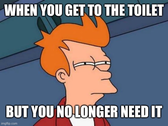 Toilet | WHEN YOU GET TO THE TOILET; BUT YOU NO LONGER NEED IT | image tagged in memes,futurama fry | made w/ Imgflip meme maker