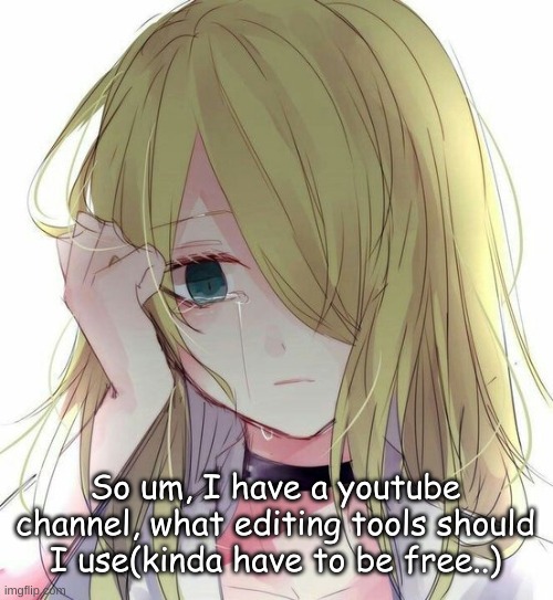 So um, I have a youtube channel, what editing tools should I use(kinda have to be free..) | made w/ Imgflip meme maker