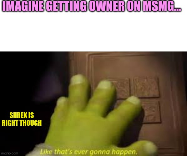 NO, I NOT BEGGING, I AM JUST BORED AND WANTED TO POST SOME FUN FACTS | IMAGINE GETTING OWNER ON MSMG... SHREK IS RIGHT THOUGH | image tagged in donkey | made w/ Imgflip meme maker