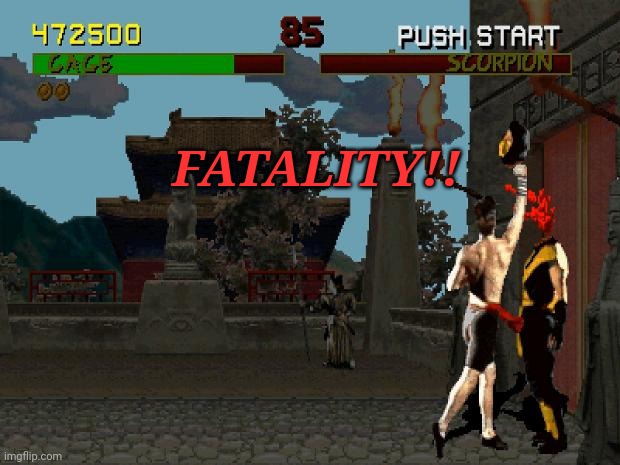 Fatality Mortal Kombat | FATALITY!! | image tagged in fatality mortal kombat | made w/ Imgflip meme maker