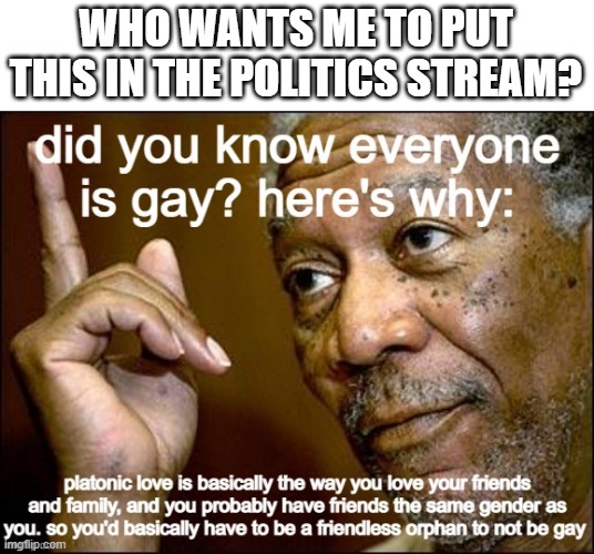 that'll make them flip out >:3 | WHO WANTS ME TO PUT THIS IN THE POLITICS STREAM? | image tagged in lgbtq | made w/ Imgflip meme maker