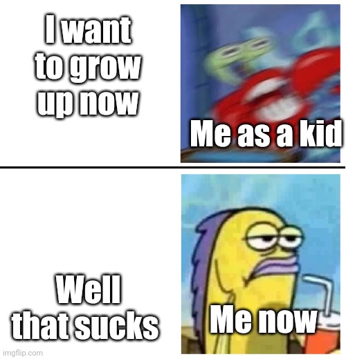 Excited vs Bored | I want to grow up now; Me as a kid; Well that sucks; Me now | image tagged in excited vs bored | made w/ Imgflip meme maker