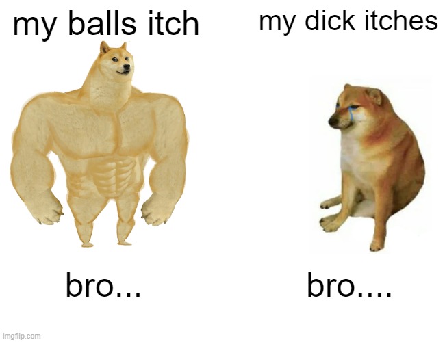 Buff Doge vs. Cheems Meme | my balls itch; my dick itches; bro... bro.... | image tagged in memes,buff doge vs cheems | made w/ Imgflip meme maker