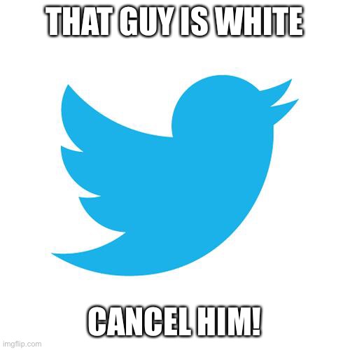 -A crappy meme that’ll get me canceled..- | THAT GUY IS WHITE; CANCEL HIM! | image tagged in twitter birds says | made w/ Imgflip meme maker