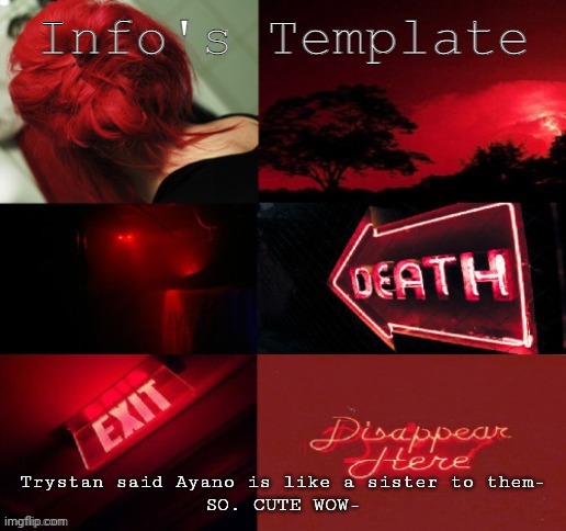 Trystan said Ayano is like a sister to them-
SO. CUTE WOW- | image tagged in info-chan | made w/ Imgflip meme maker
