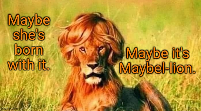 Maybel-lion | Maybe she's born with it. Maybe it's Maybel-lion. | image tagged in maybelion | made w/ Imgflip meme maker
