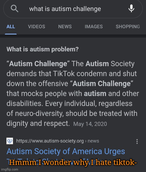 LIKE BRUH LEARN SOME FREAKING RESPECT L- | Hmmm I wonder why I hate tiktok- | made w/ Imgflip meme maker