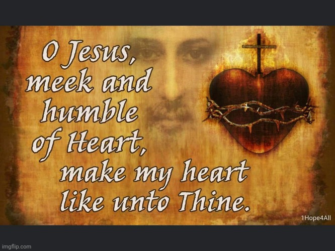 Fun Fact: June is actually the Month of the Sacred Heart.  The opposite of PRIDE is HUMILITY | image tagged in catholic | made w/ Imgflip meme maker